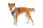 Preview: Ruffwear Front Range Geschirr Coastal Mountains Gr. S